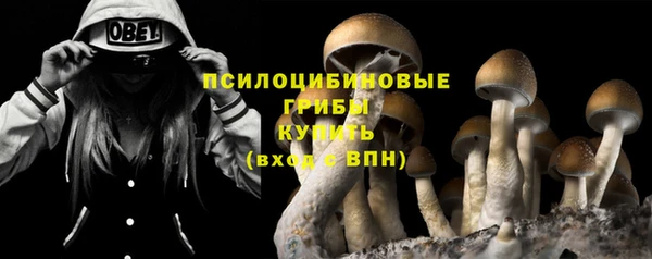 МДМА Богородицк