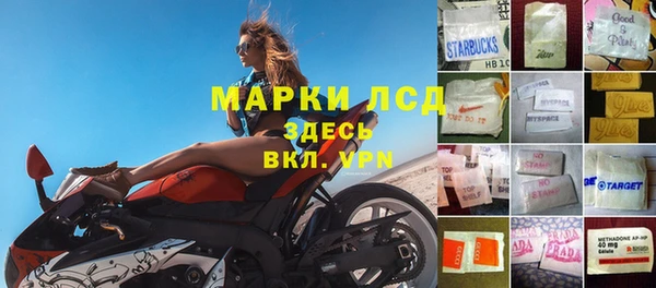 PSILOCYBIN Пересвет